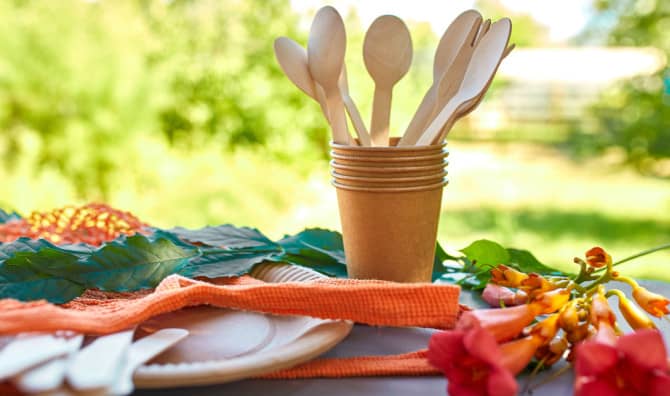 These Zero-Waste Plates Are Made Entirely From Leaves