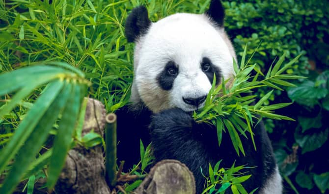 20 Good News Stories You Didn’t Hear About