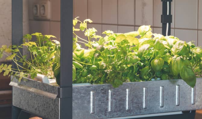This DIY Growroom Makes Urban Farming as Easy as 1, 2, 3