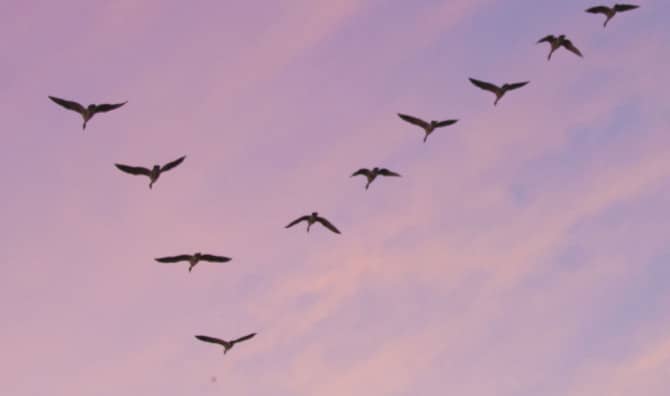 4 Keys to Leading Yourself – and Others