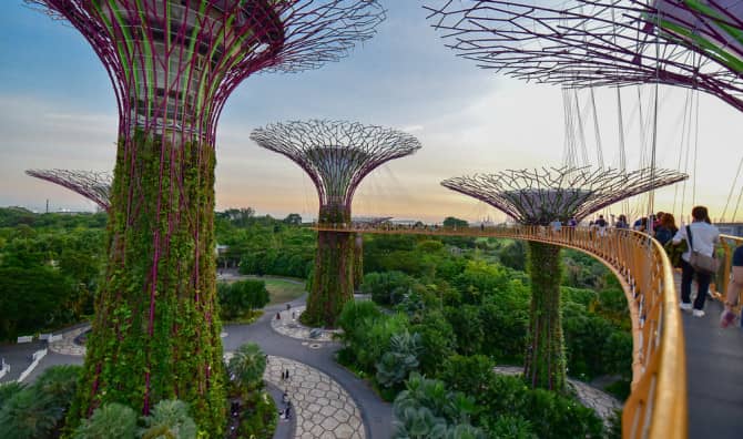 Singapore’s Surreal  Supertree Grove Will Leave You in Awe