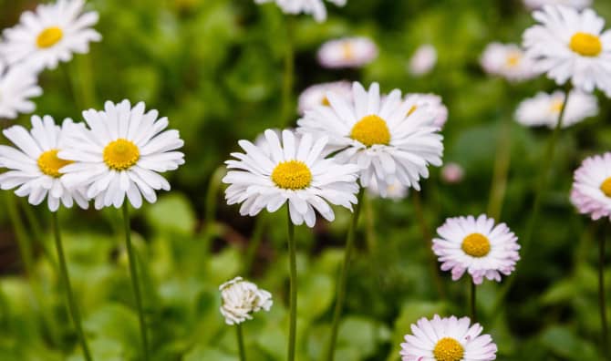 Why Wanting to Be Happy Isn’t a Selfish Goal