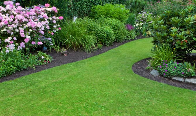 The Gangsta Gardener Who Redefined Masculinity