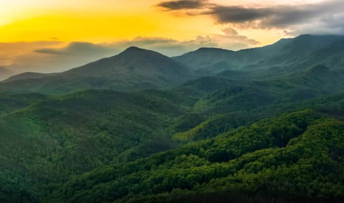 This Device Lets the Colorblind See the True Beauty of Nature