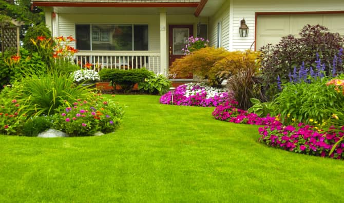 5 Ways to Care for Your Lawn and Save Water at the Same Time
