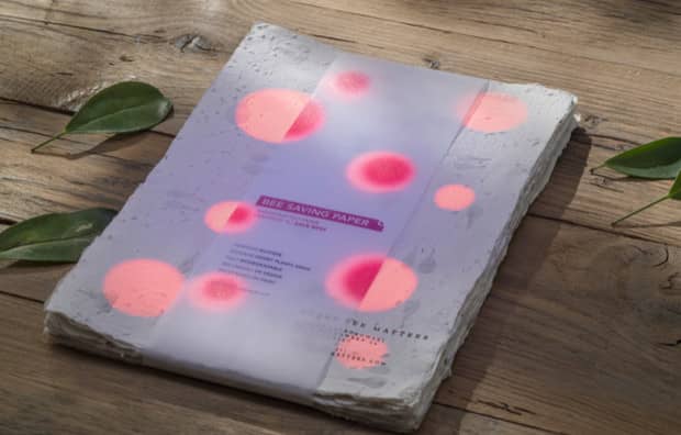 This Simple Paper Could Save Bee Populations From Extinction