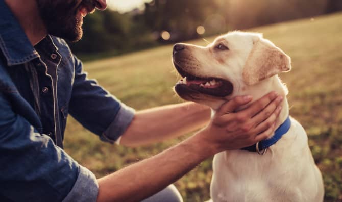 7 Health Benefits of Living With Pets