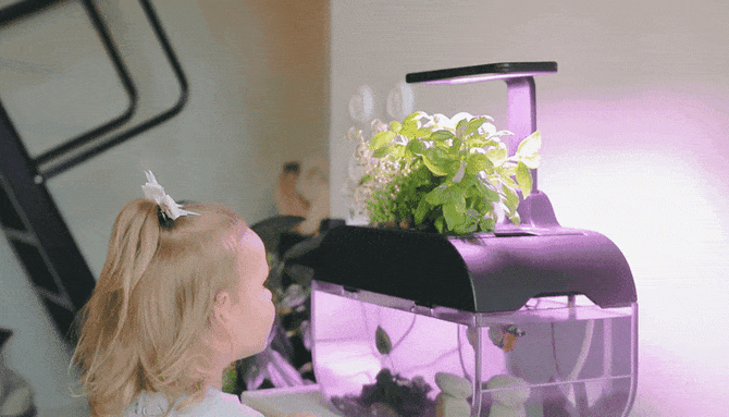 With EcoGarden Anyone Can Garden Sustainably and on the Go