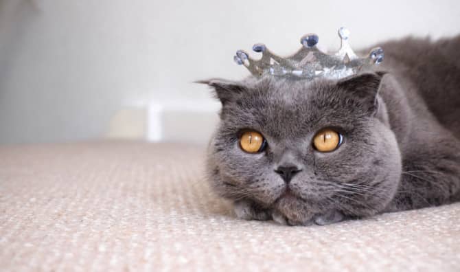 Museum Asks People to Recreate Masterpieces With Hilarious Results