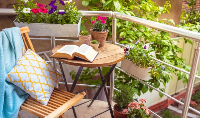 Nature is Waiting to Cheer Everyone Up!