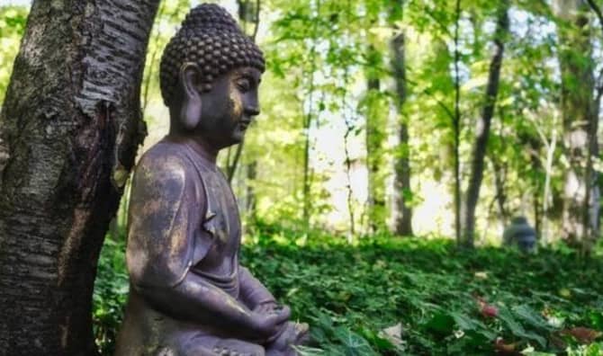 Powerful Buddha Quotes to be Inspired By