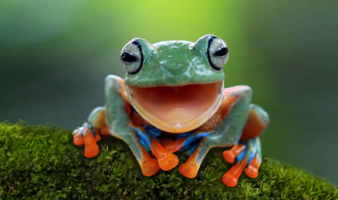 Get Inspired by Humor Ahead of World Laughter Day!