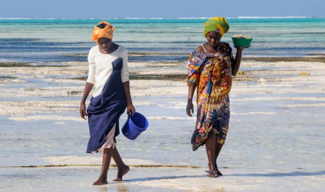 Sea Sponge Farms are Empowering Women in Jambiani
