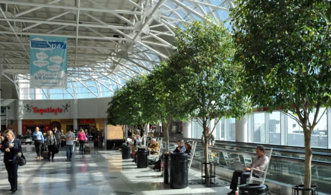 When Life Gives You Lemons, Dance and Make a Music Video