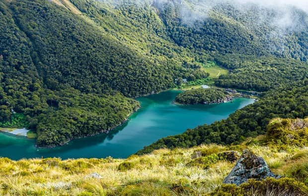 New Zealand Just Announced a Plan to Plant One Billion Trees