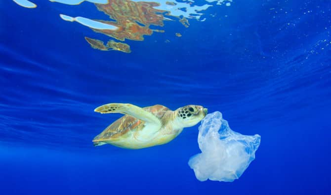 Scientists Can Now Spot Ocean Debris From Space