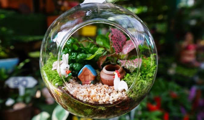 Miniature Gardens: An Enchanting Home Trend