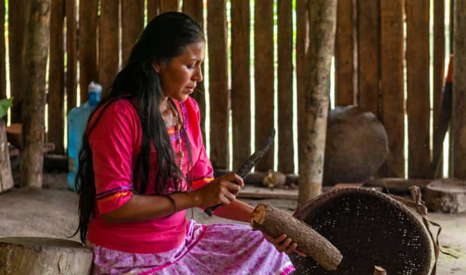 This Indigenous Community’s Farming Co-op Protects the Amazon