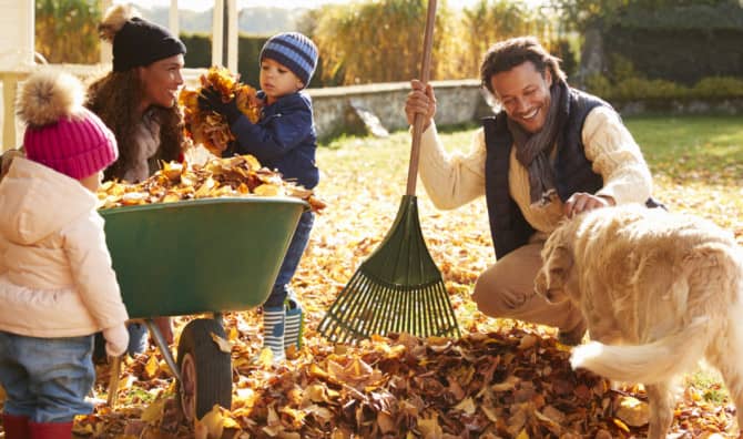 5 Wholesome Uses for Your Fallen Leaves