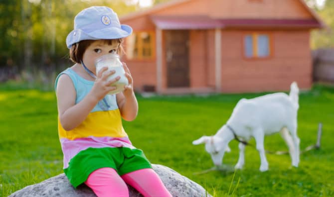 Goat’s Milk Climbs to the Top