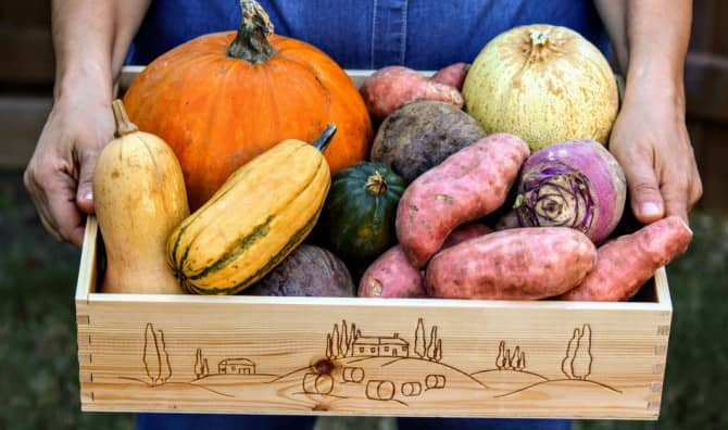 Purchasing Delicious and Healthy Produce Just Got Easier