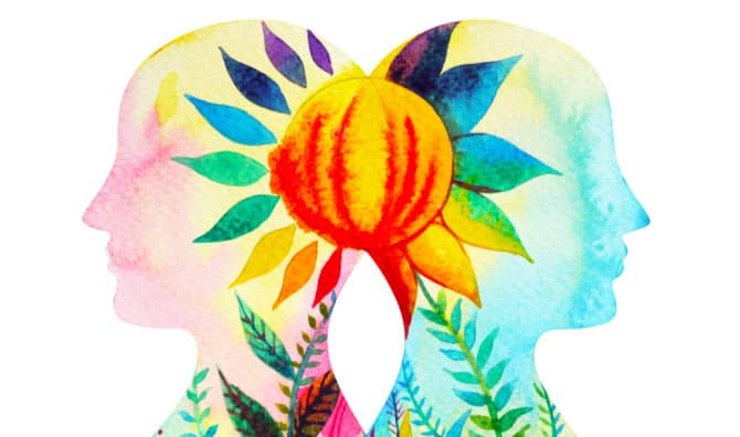 Cleansing Herbs for Each Chakra