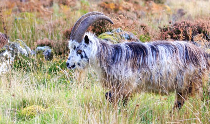 This Community-Led Initiative is Creating a Nature Reserve