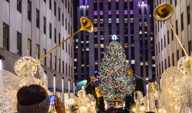 Adorable Owl Stows Away in Rockefeller Center Christmas Tree
