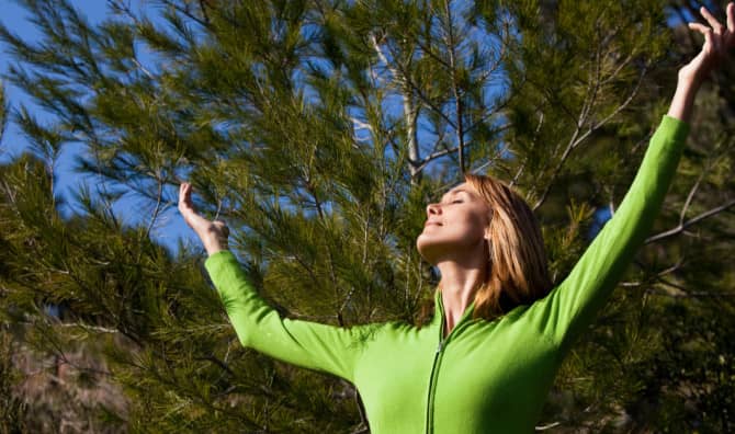 7 Essential Oils for Every Mood