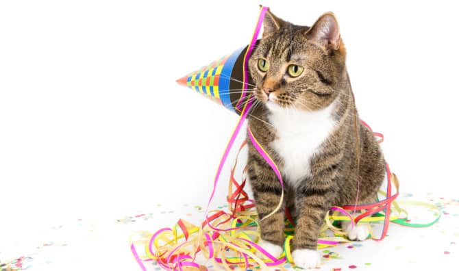 Honoring Cats on ‘Mew Year’s Day’!