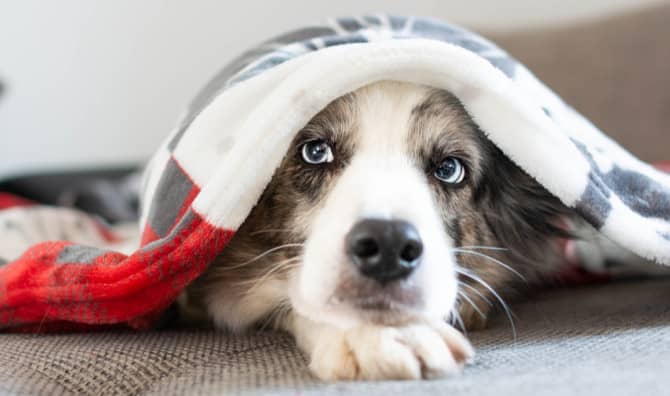 5 Ways to Improve Your Social Skills