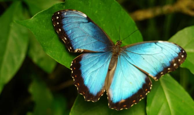 How to Embrace Change