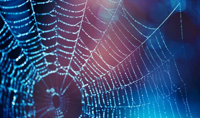 Your New Clothes Will be Made of Living Organisms!