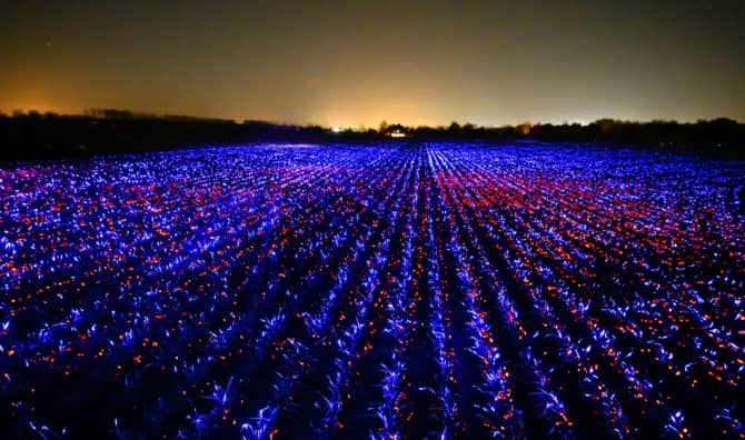 When Art and Science Meet, Researchers Yield a Better Crop