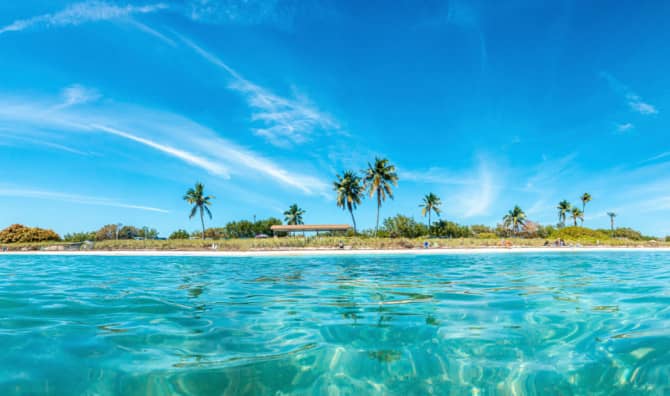 Reef Goats to the Rescue in Florida