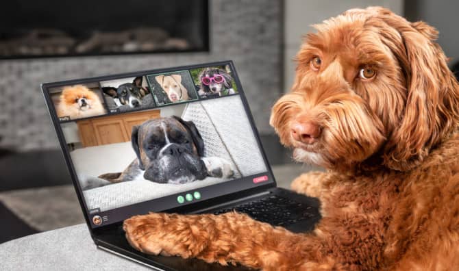 Immersive Video Is Reconnecting Us More Authentically!