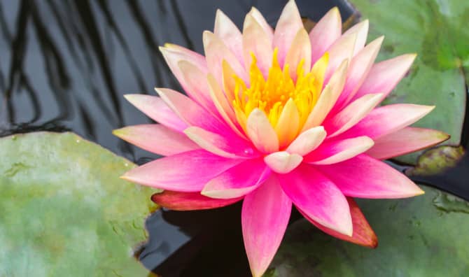 How to Hold Space for Your Spiritual Awakening