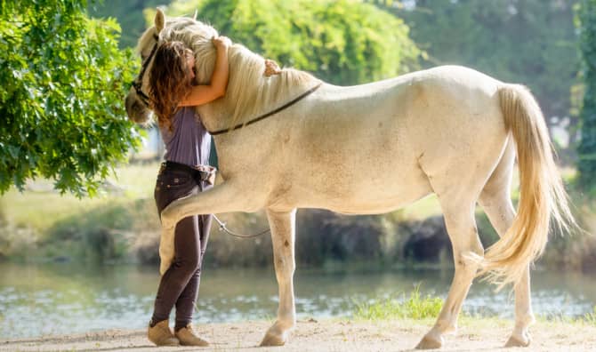 Giving Retired Racehorses a New Chance at Life