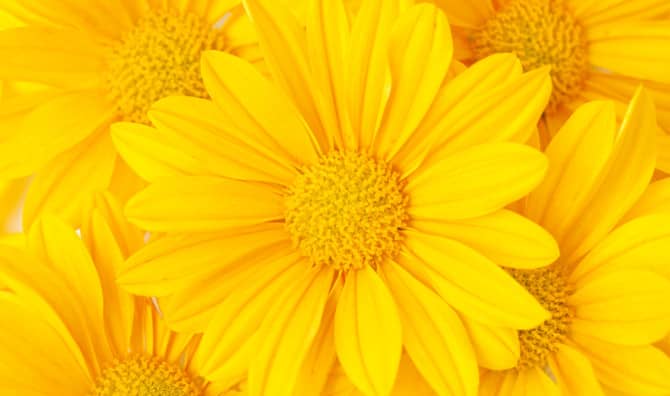 Harness the Emotional Power of the Color Yellow