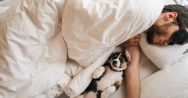 New Product Promises Clean Sheets with Less Washing