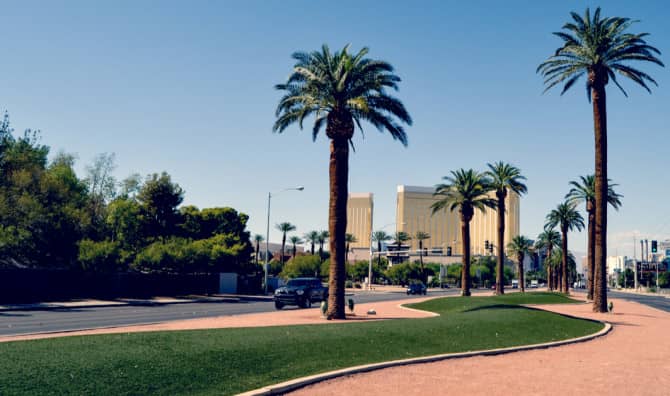Las Vegas May be First US City to Replace Decorative Grass