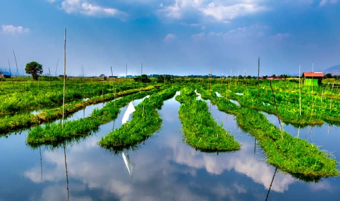 Bangladesh’s Floating Gardens May be the Key to Future Farming