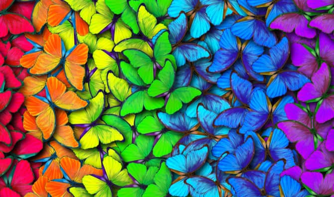 Discover Which Color Inspires You [Quiz]