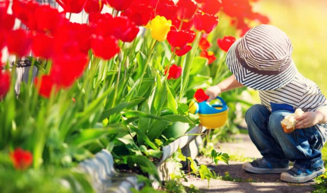 5 Best Spring Home Garden Tips and Trends