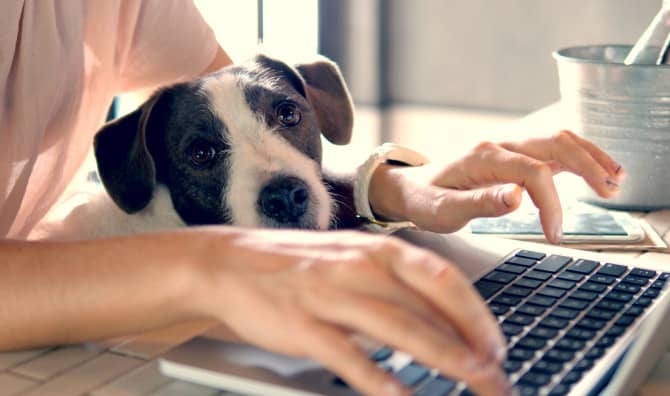 5 Easy Home Office Ideas For When You’re WFH