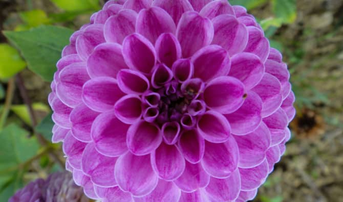 Using Sacred Geometry Symbols to Heal