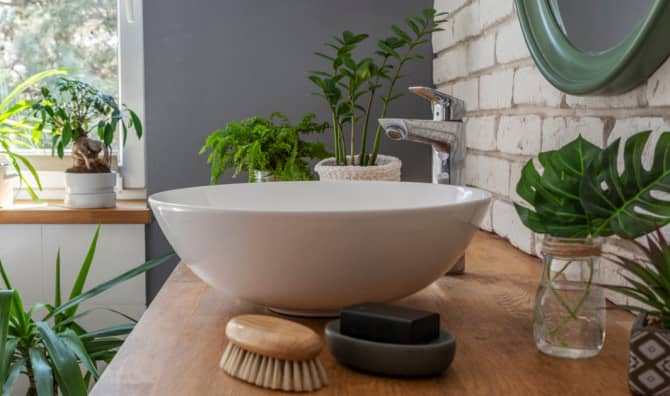 5 Mood-Boosting Plants to Grow in Your Bathroom