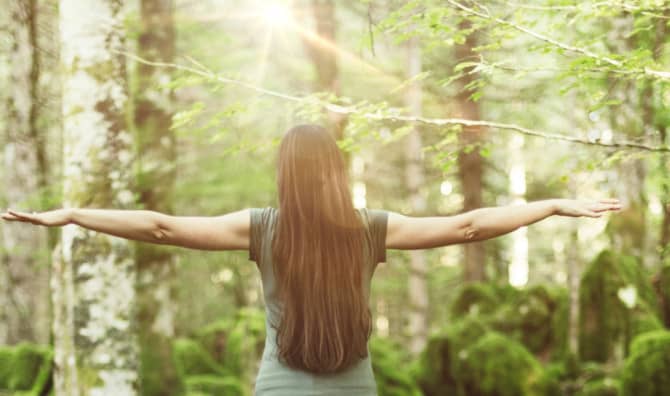 The Wisdom of the Four Dimensions