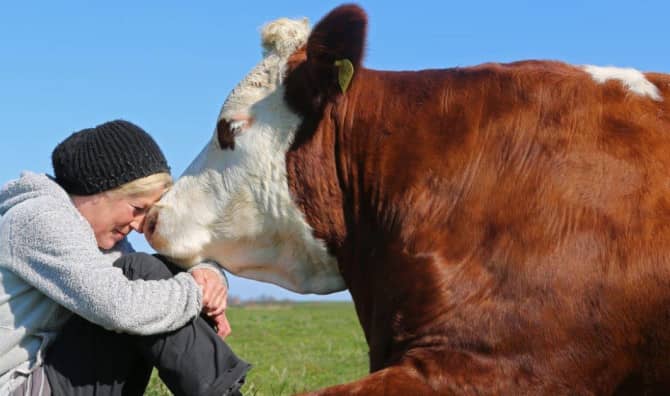 The Forever Animal Haven With a Beautiful Mission