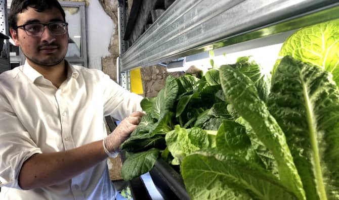 Inspiring Future Hydroponic Farmers